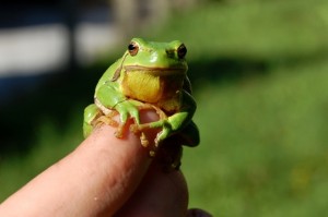 485629_R_K_by_by-Sassi_pixelio.de